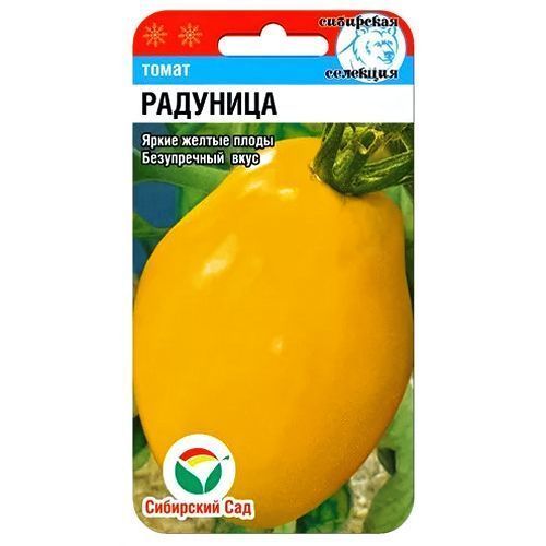 ������ ������ ����� �������� ��������� ���   ����