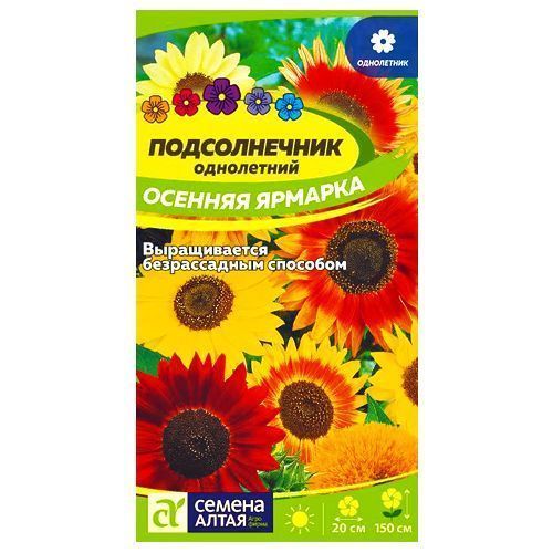 ������ ������ ������������ ������� �������, ����� ������� ������ �����   ����