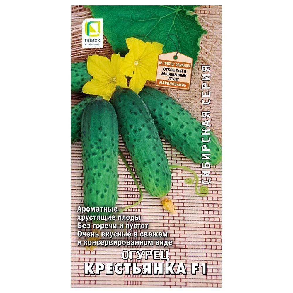 ������ ������ ������ ���������� F1 �����   ����