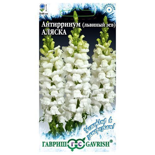 ������ ������ ���������� ������ ������   ����