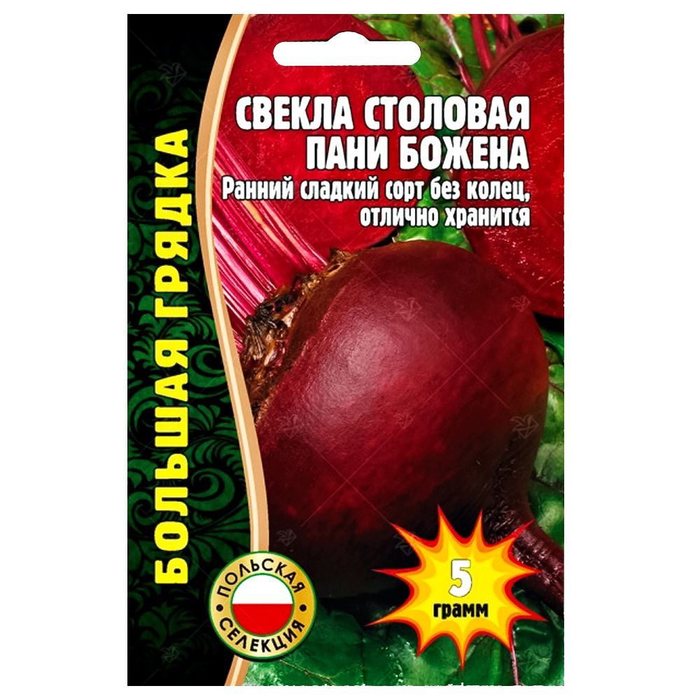 ������ ������ ������ ���� ������ ������ ������   ����