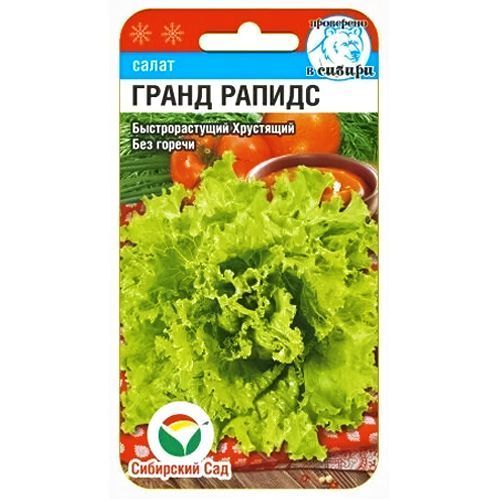 ������ ������ ����� ����� ������ ��������� ���   ����