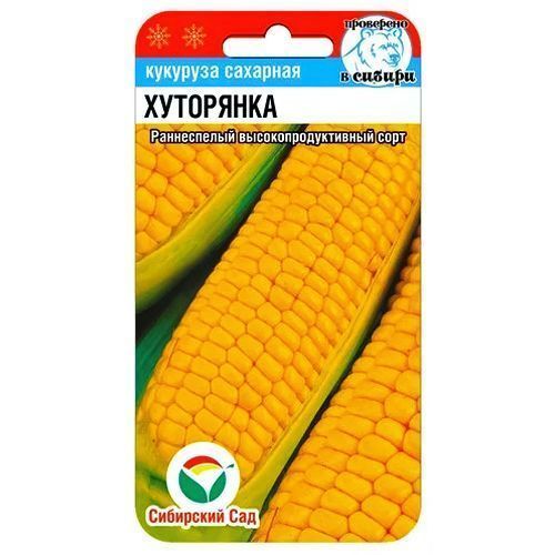 ������ ������ �������� ��������� ��������� ���   ����