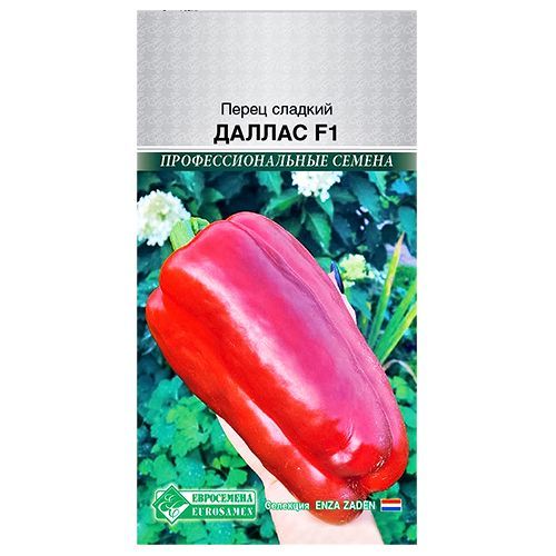 ������ ������ ����� ������� ������ F1 ����������   ����