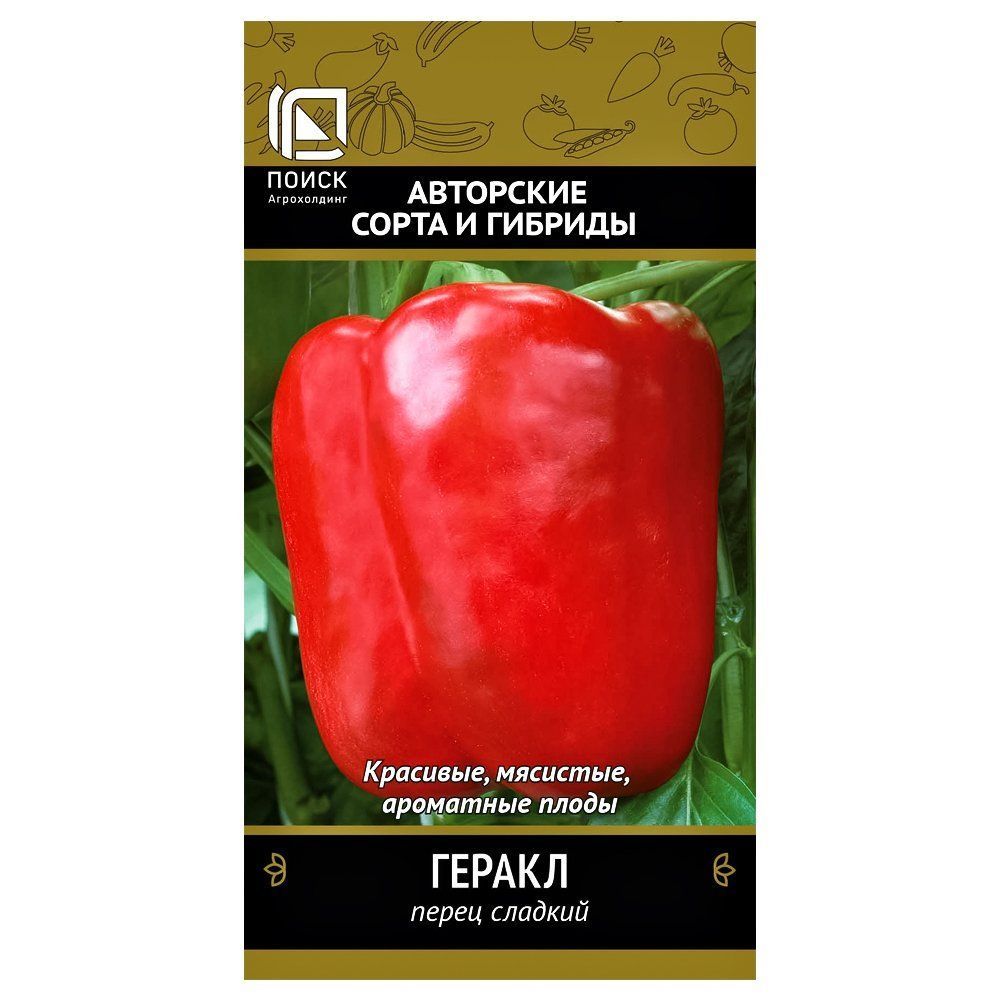 ������ ������ ����� ������� ������ �����   ����