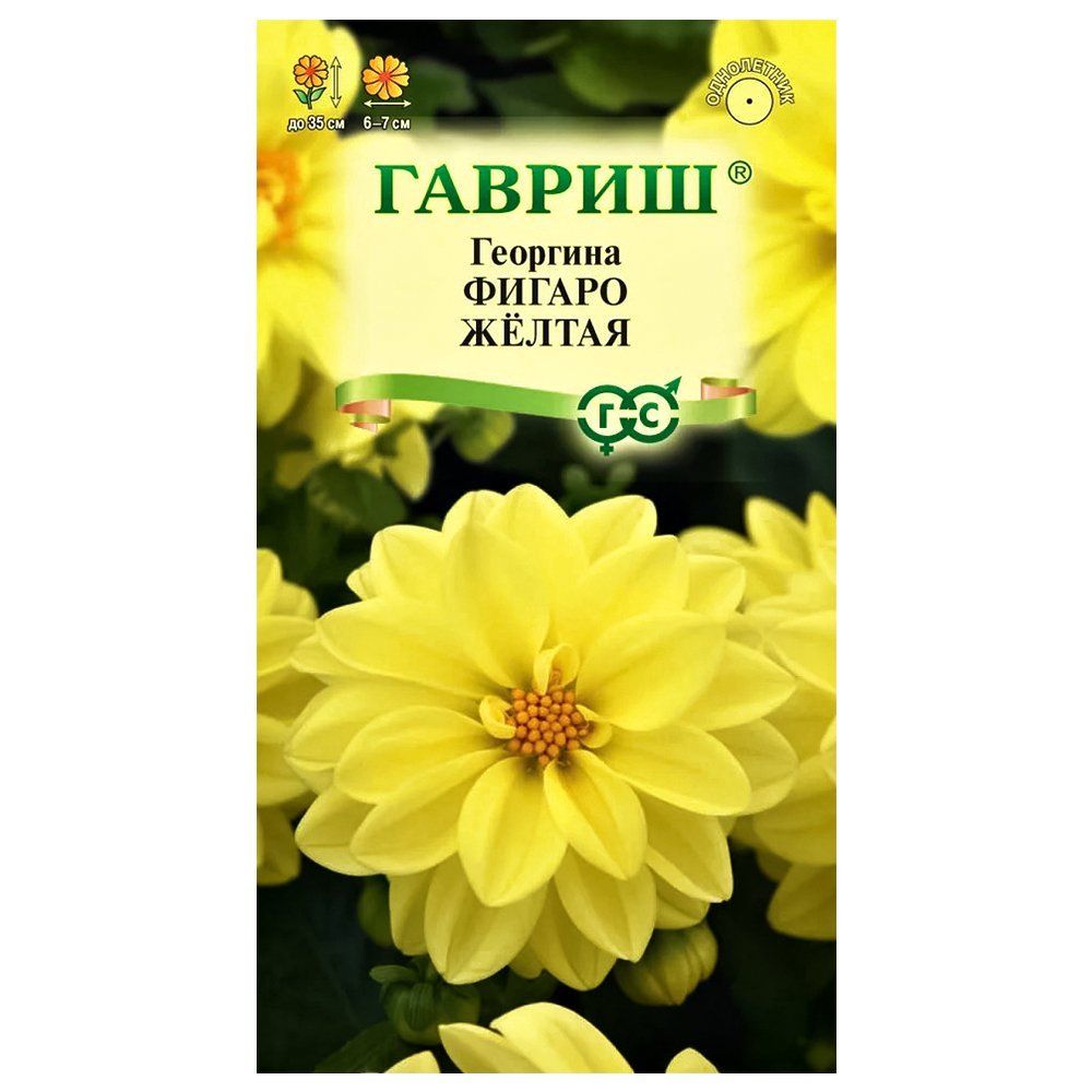 ������ ������ �������� ������ ������ ������   ����