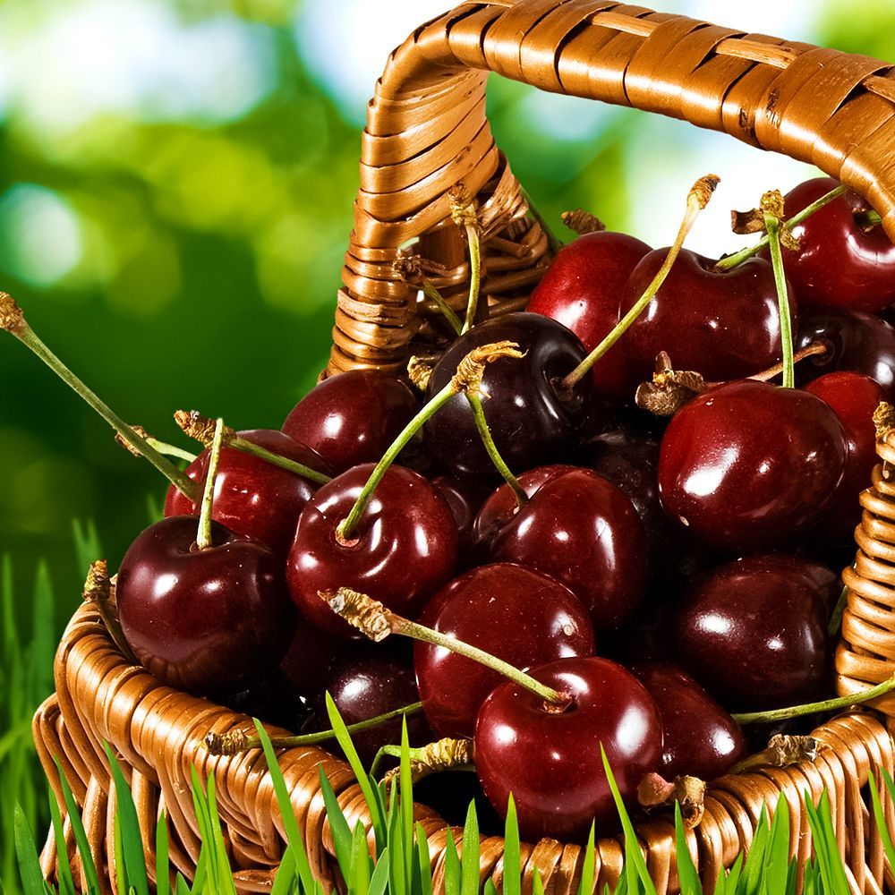 ������ ������ ����� ������������� ��������   ����