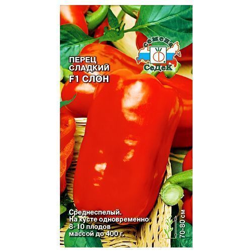 ������ ������ ����� ������� ���� F1 �����   ����