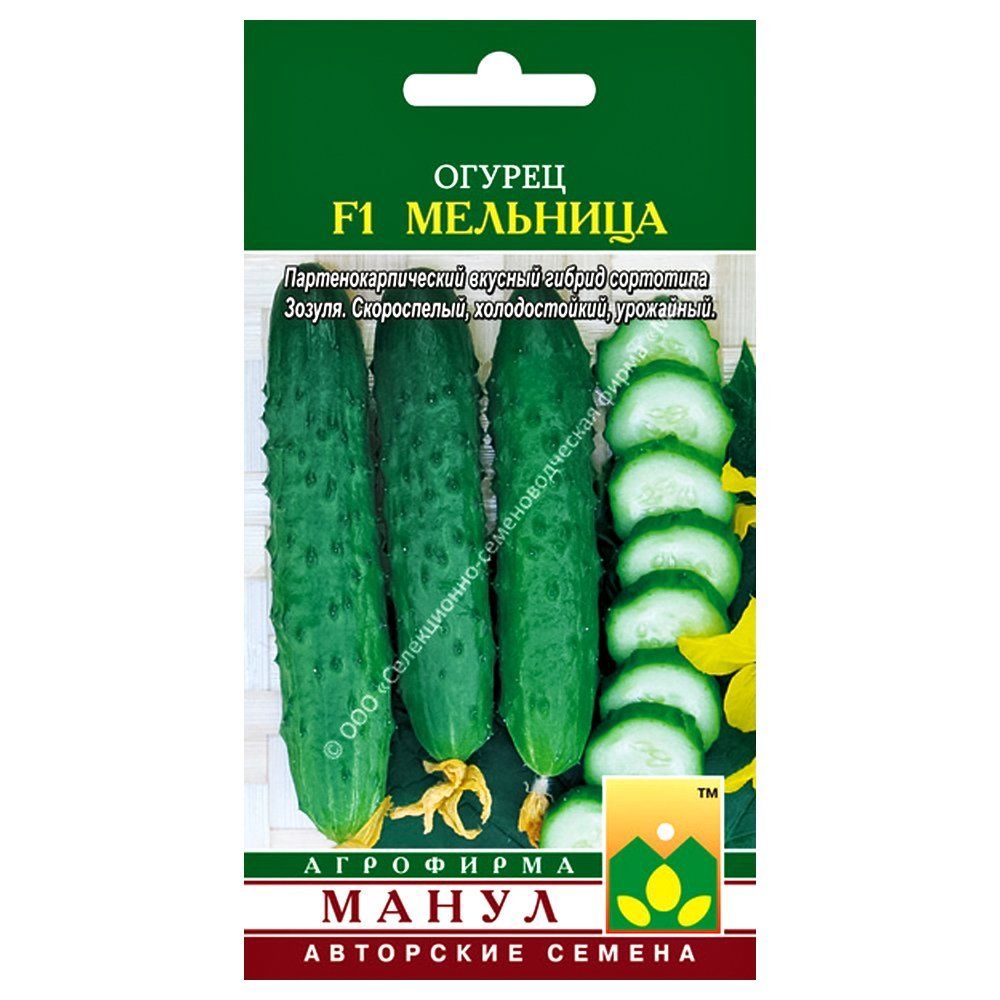 ������ ������ ������ �������� F1 �����   ����