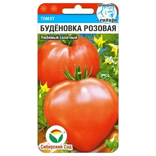 ������ ������ ����� ��������� ������� ��������� ���   ����