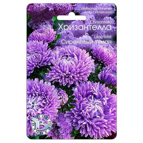 ������ ������ ����� ��������� ����������� ��������� ����� ����������   ����