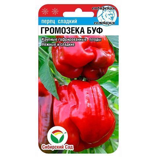 ������ ������ ����� ������� ��������� ��� ��������� ���   ����