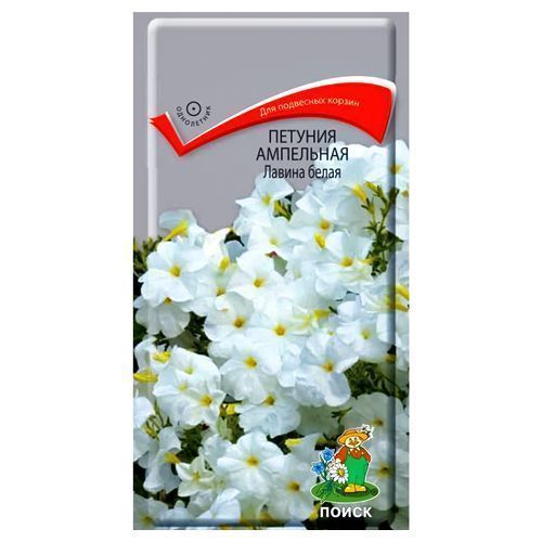 ������ ������ ������� ��������� ������ ����� �����   ����