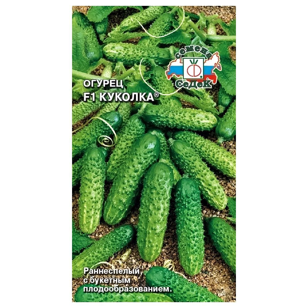 ������ ������ ������ ������� F1 �����   ����