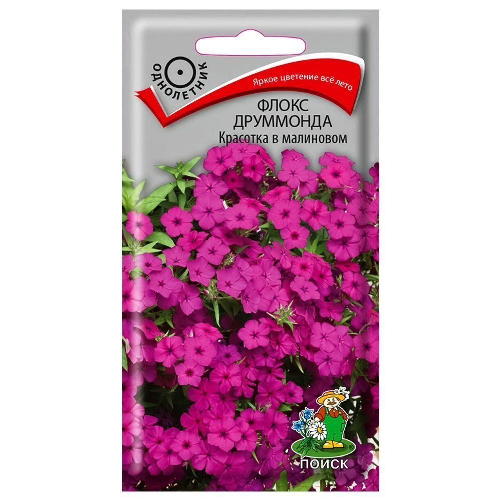 ������ ������ ����� ��������� �������� � ��������� �����   ����