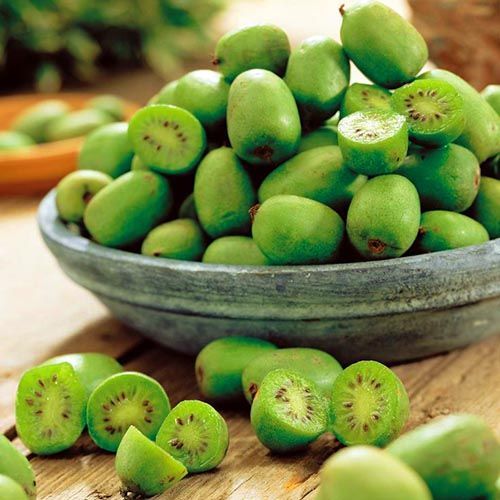 ������ ������ ��������� ����������� �����   ����