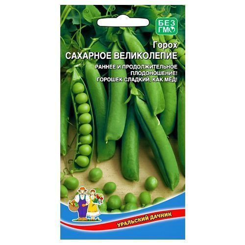 ������ ������ ����� �������� ����������� ��������� ������   ����