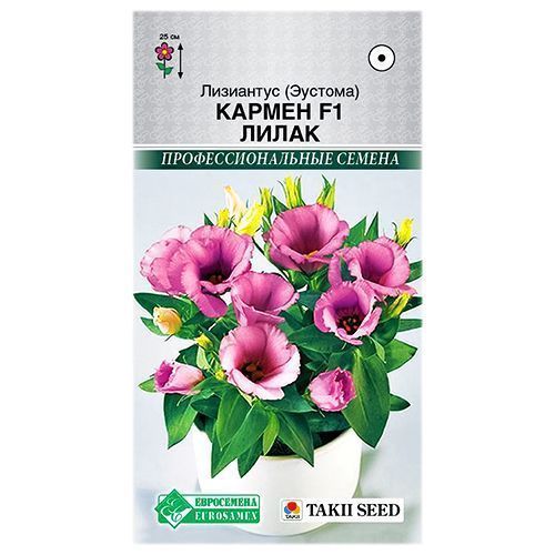 ������ ������ ��������� (�������) ������ F1 ����� ����������   ����