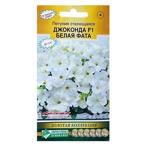 ������ ������ ������� ���������� �������� F1 ����� ���� ����������   ����