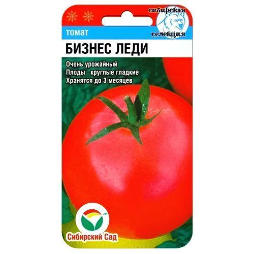 ������ ������ ����� ������ ���� ��������� ���   ����