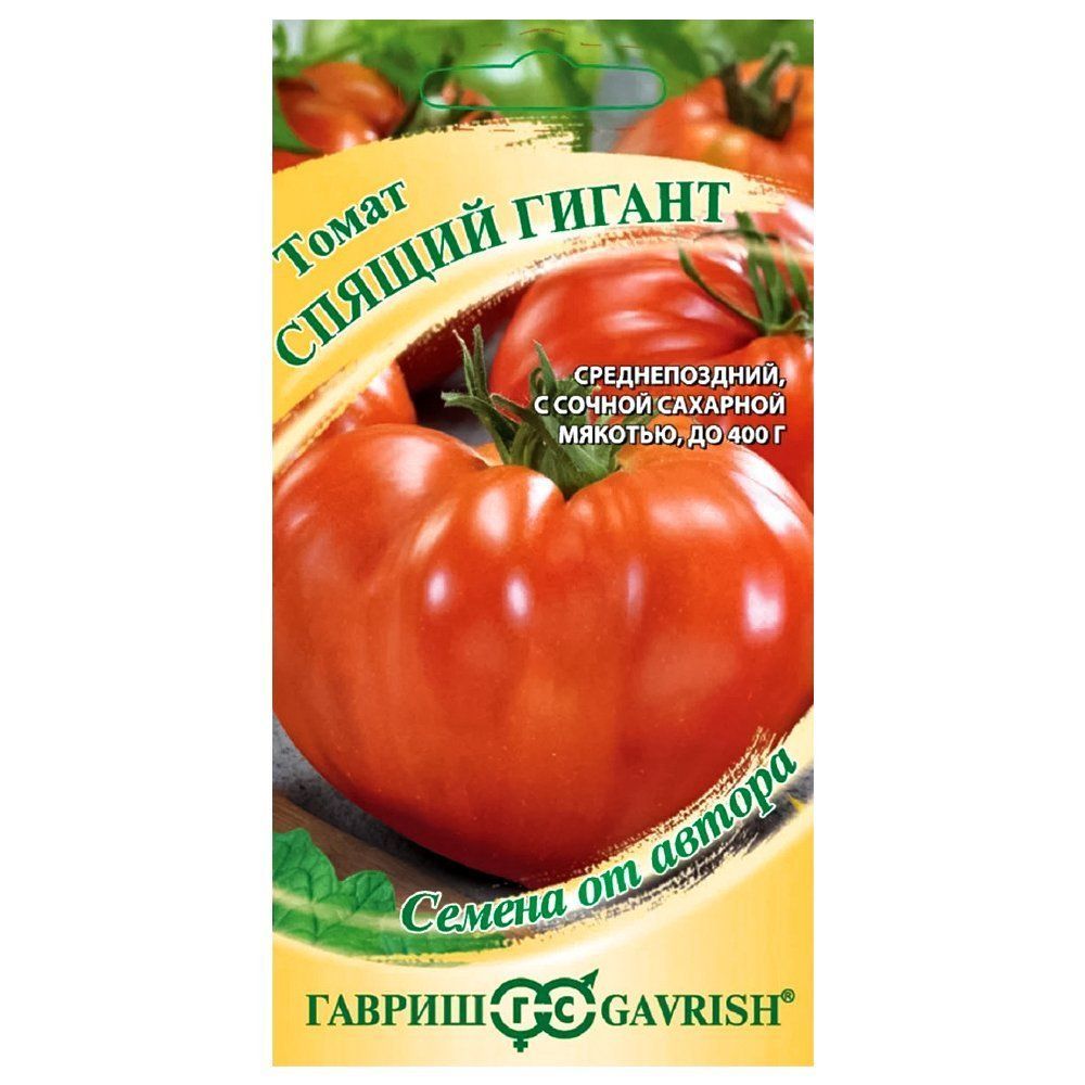 ������ ������ ����� ������ ������ ������   ����