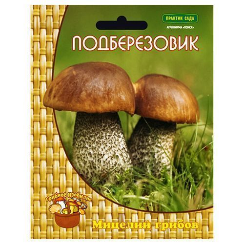 ������ ������ ������������ �����   ����