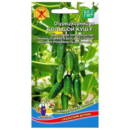 ������ ������ ������ �������� ������� ��� F1 ��������� ������   ����