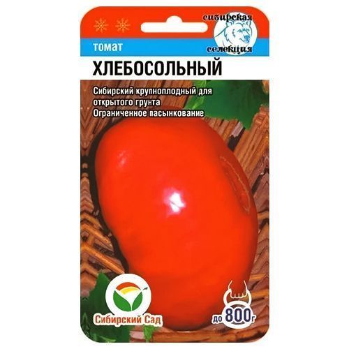 ������ ������ ����� ������������ ��������� ���   ����