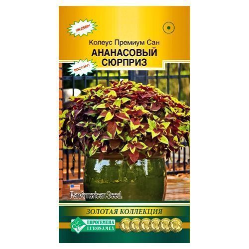 ������ ������ ������ ����� ������� ��� ���������� ������� ����������   ����