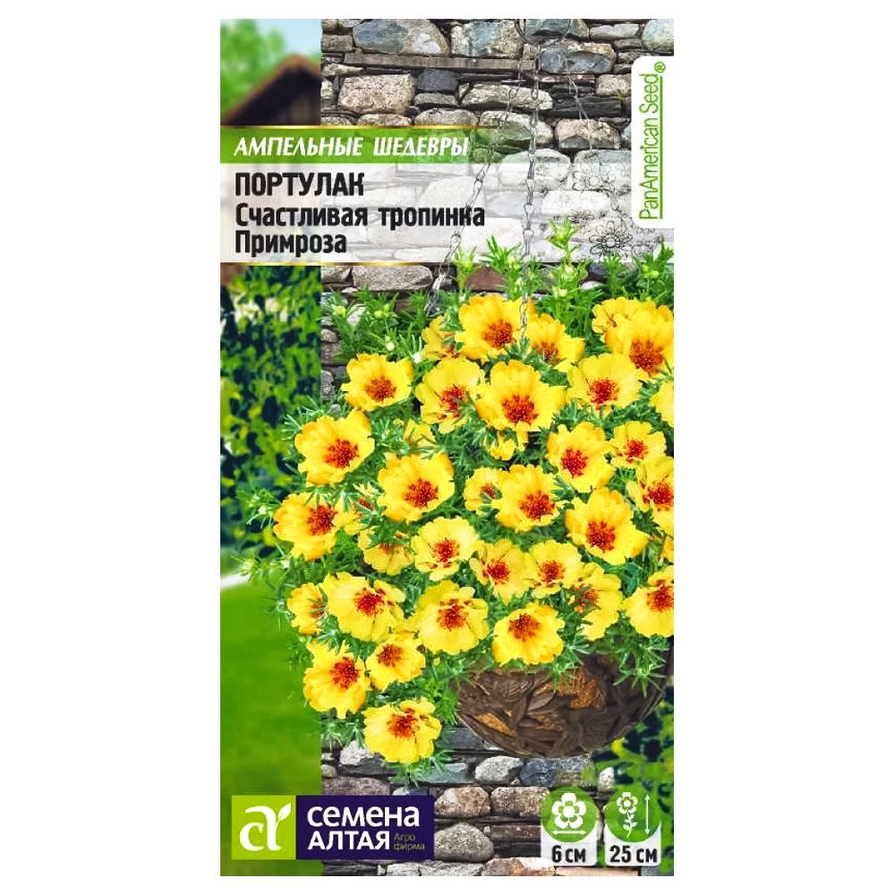 ������ ������ �������� ���������� �������� �������� ������ �����   ����