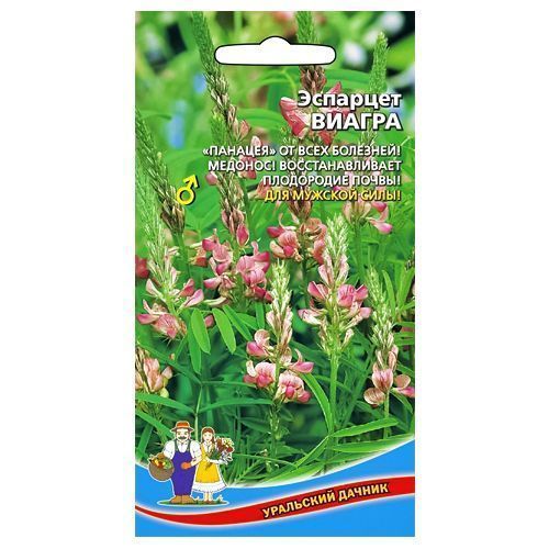 ������ ������ �������� ������ ��������� ������   ����