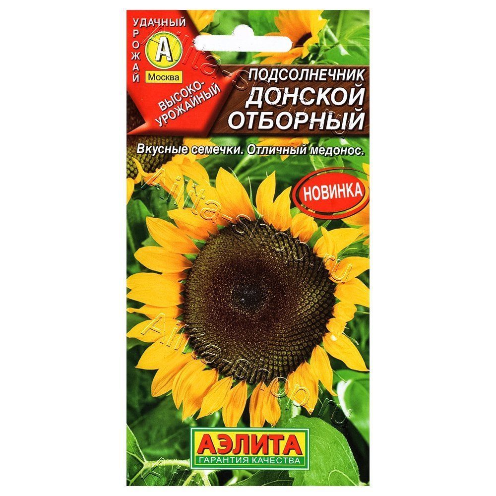 ������ ������ ������������ ������� �������� ������   ����