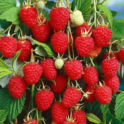 ������ ������ ������ ������������ �������   ����