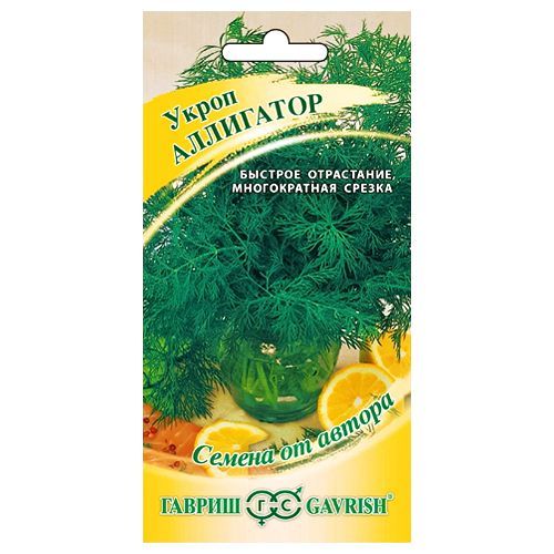 ������ ������ ����� ��������� ������   ����