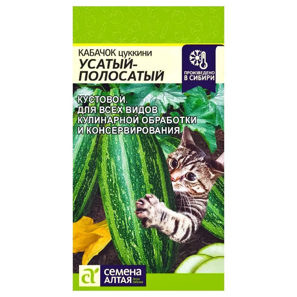 ������ ������ ������� ������ ������-��������� ������ �����   ����