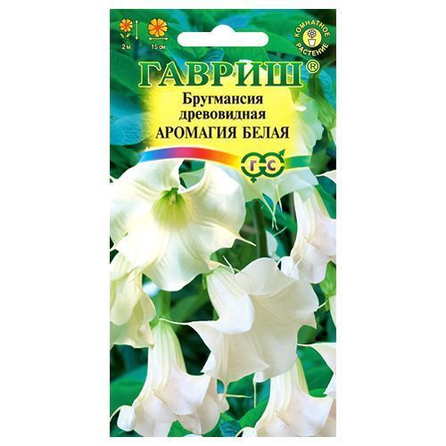 ������ ������ ���������� �������� ����� ������   ����