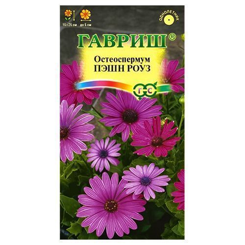 ������ ������ ������������ ���� ����, ����� ������� ������   ����