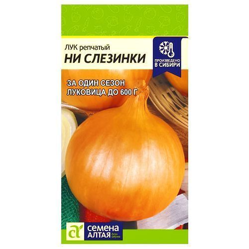 ������ ������ ��� �������� �� �������� ������ �����   ����