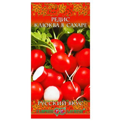 ������ ������ ����� ������ � ������ ������   ����