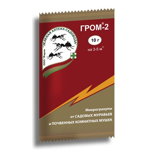 ������ ������ ����-2, �������� �� �������� 10 �   ����