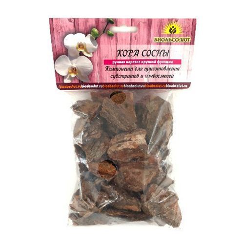 ������ ������ ���� ����� �������� ����������, 1 �   ����