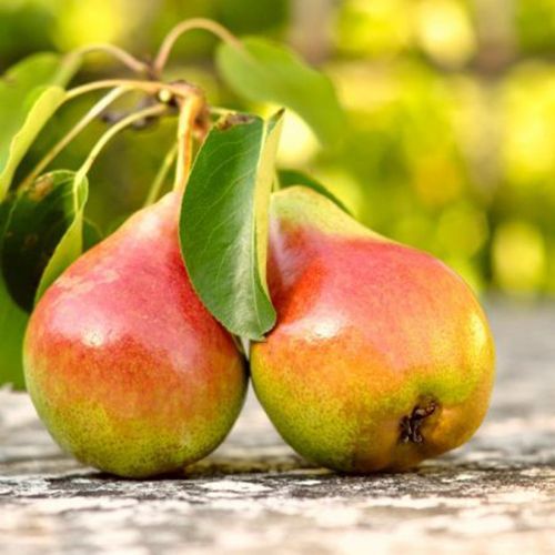 ������ ������ ����� ���������   ����