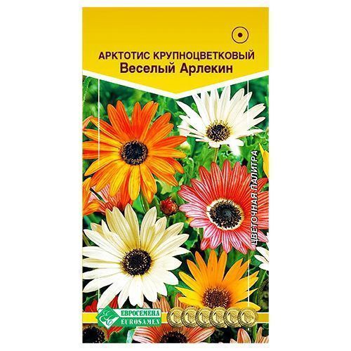 ������ ������ �������� ������� �������, ����� ������� ����������   ����