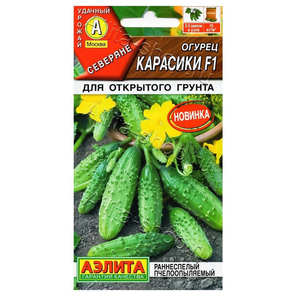 ������ ������ ������ �������� F1 ������   ����