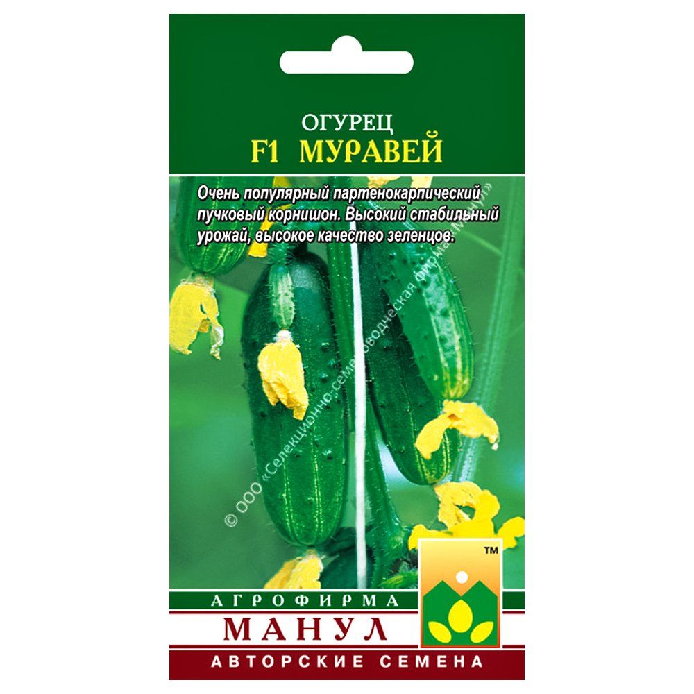 ������ ������ ������ ������� F1 �����   ����