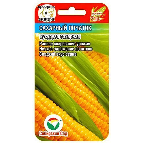 ������ ������ �������� �������� ������� ��������� ���   ����