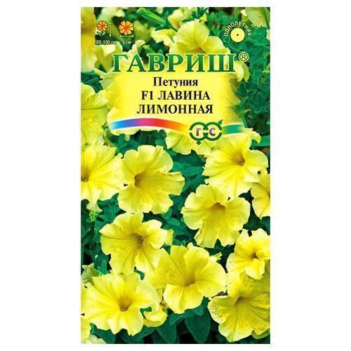 ������ ������ ������� ��������� ������ �������� F1 ������   ����