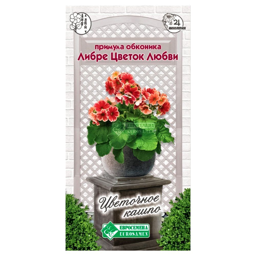 ������ ������ ������� �������� ����� ������ ����� ����������   ����