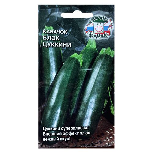 ������ ������ ������� ���� ������� �����   ����