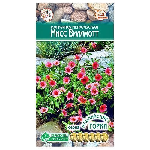 ������ ������ �������� ���� �������� ����������   ����